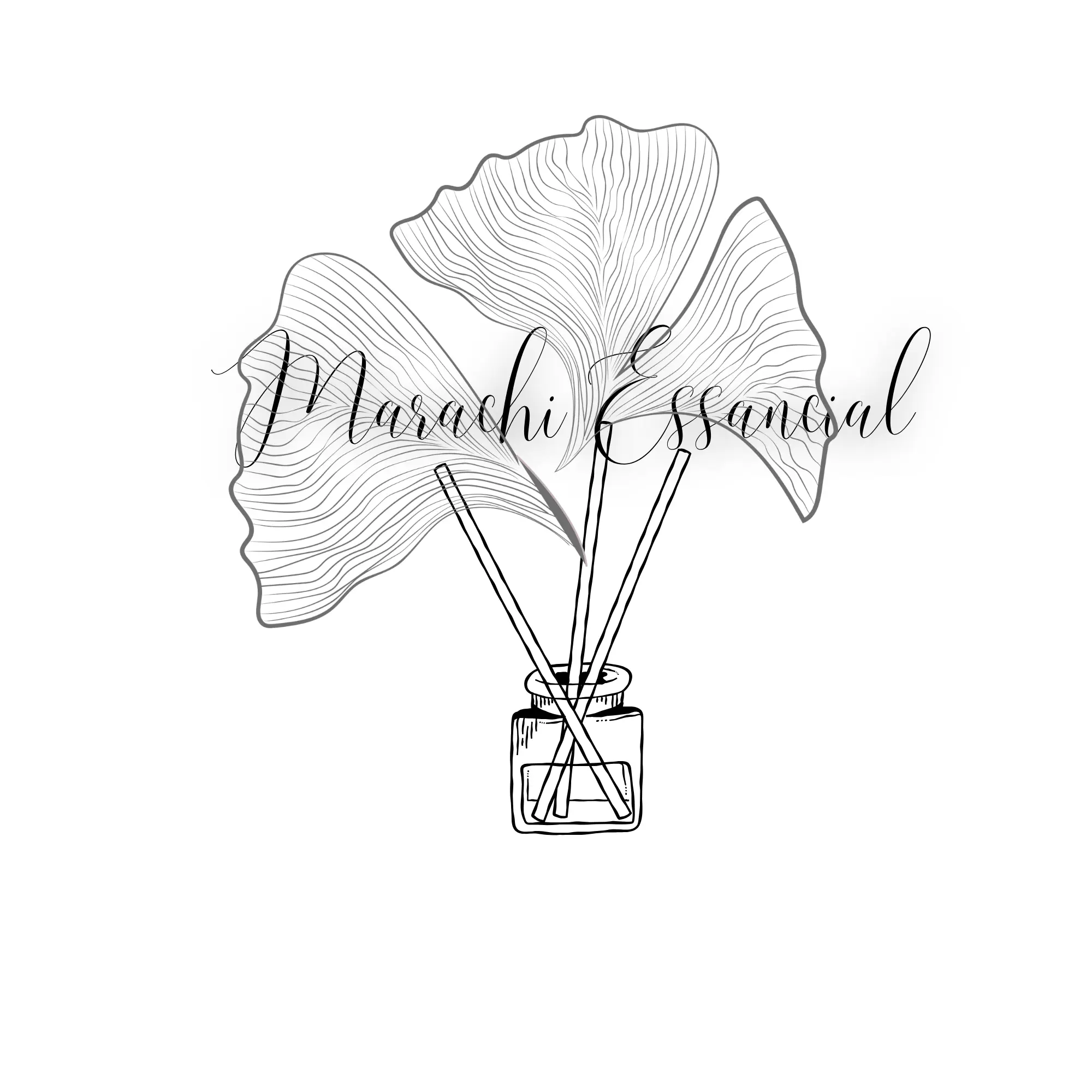 Genèse du projet Marachi Essencial